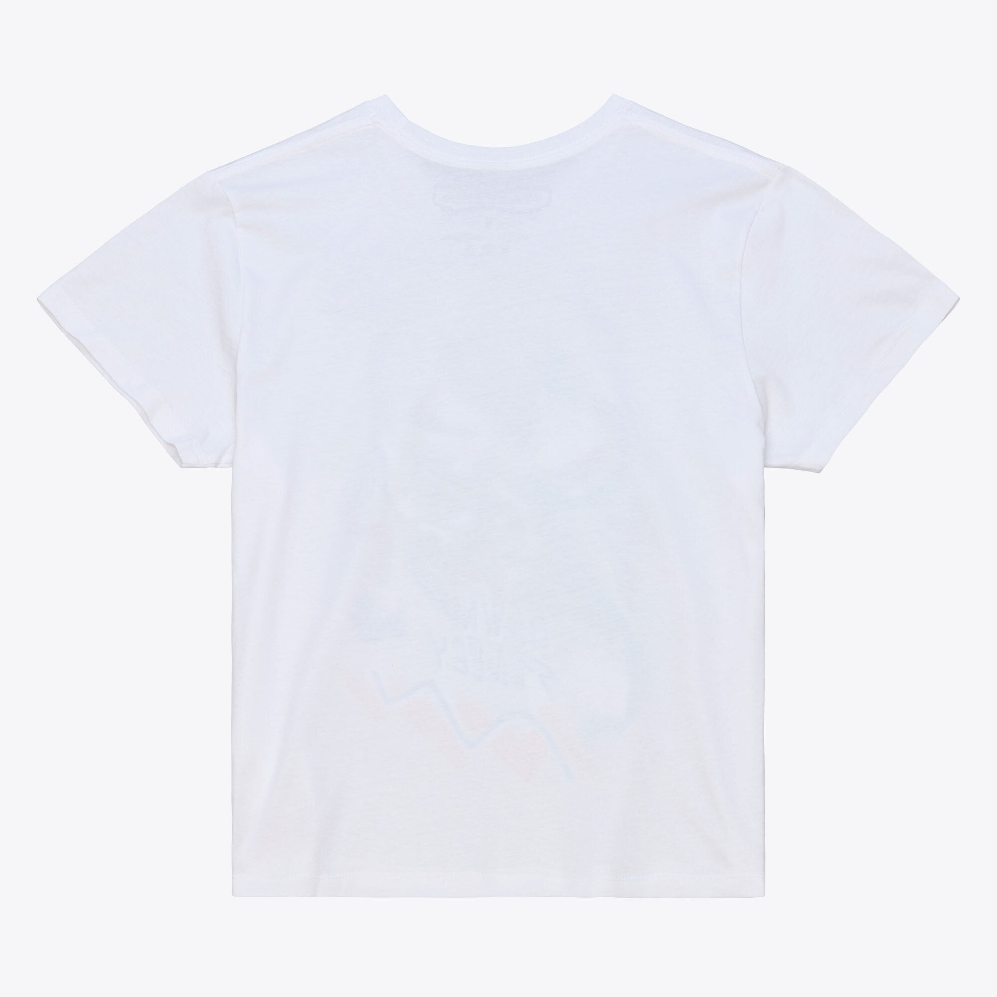 Unisex Mitchell & Ness Dawn Staley White Charlotte Sting Chalked Up T-Shirt - Court Origins