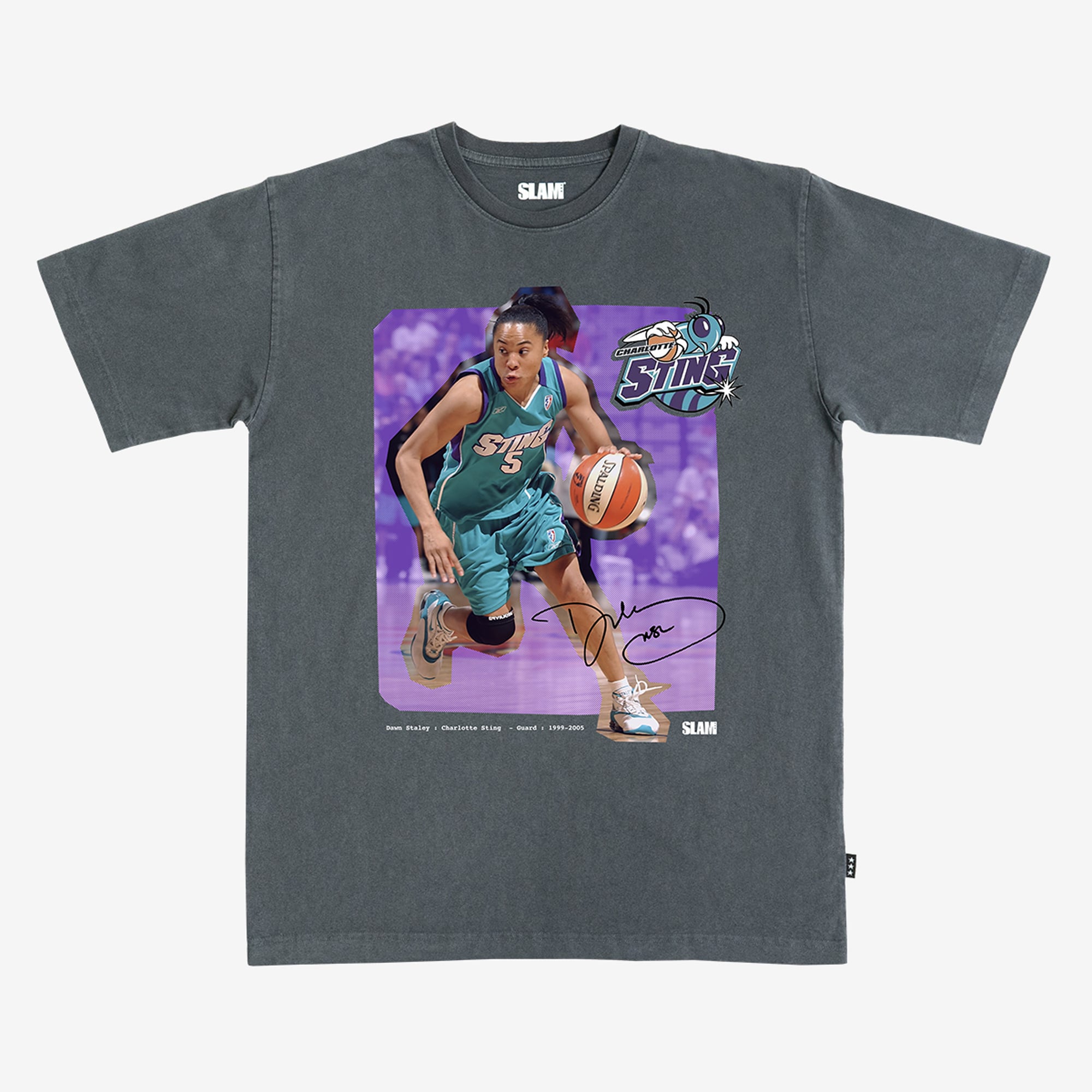 Unisex SLAM Dawn Staley Charcoal Charlotte Sting Court Origins Heavyweight T-Shirt