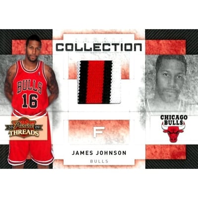 2009-10 Panini Threads Rookie Collection Materials Prime #15 James Johnson