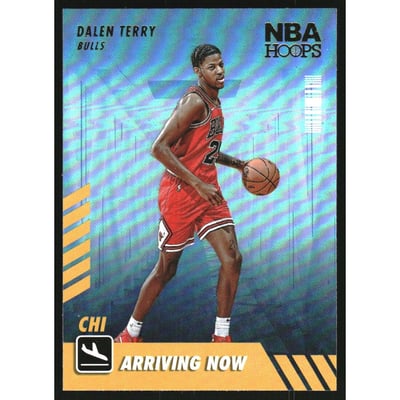 2022-23 Hoops Arriving Now Holo #18 Dalen Terry