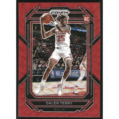 2022-23 Panini Prizm Prizms Ruby Wave #240 Dalen Terry