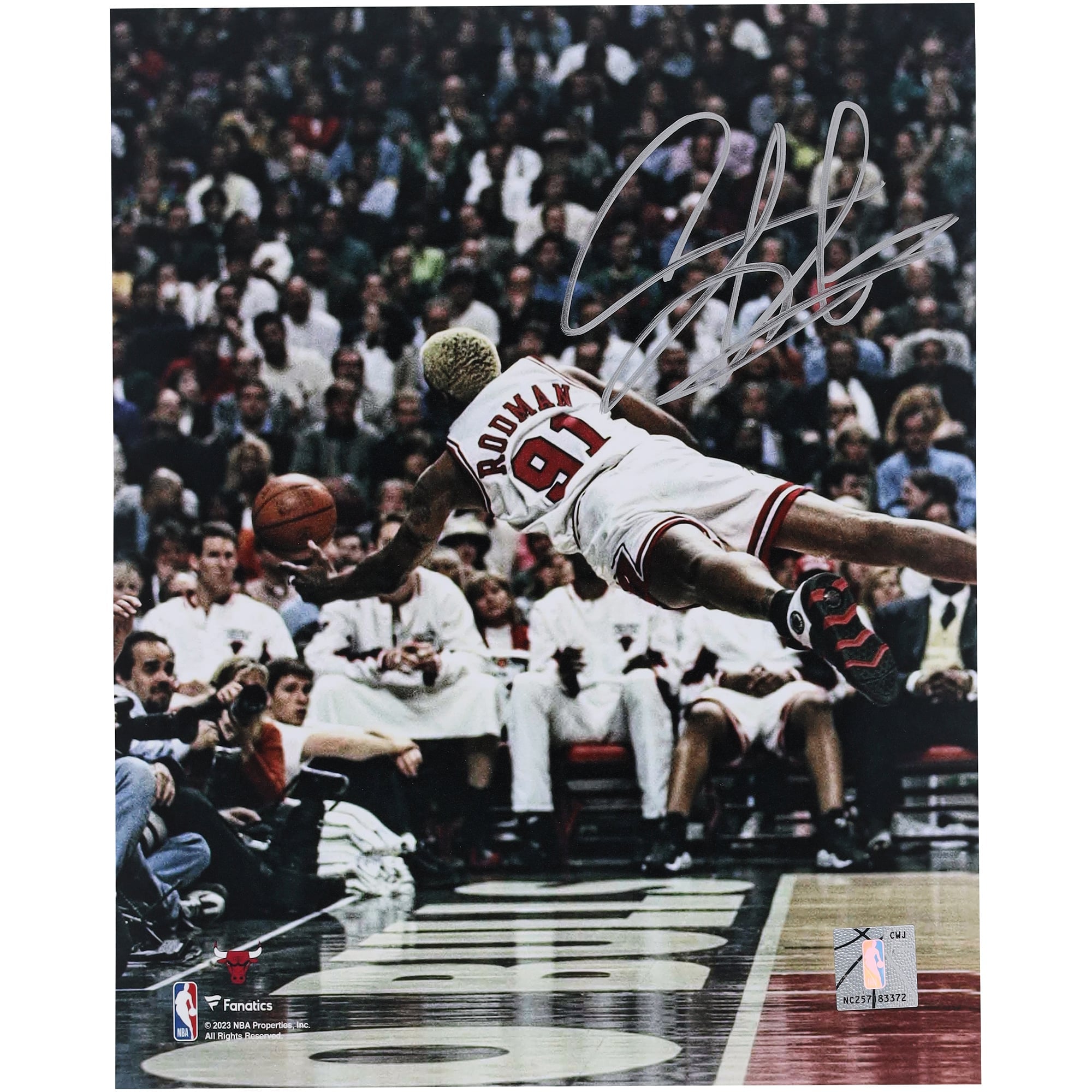 Photo de plongeon 20 x 25 cm (8 x 10 pouces) dédicacée par Dennis Rodman des Chicago Bulls - Signature argentée
