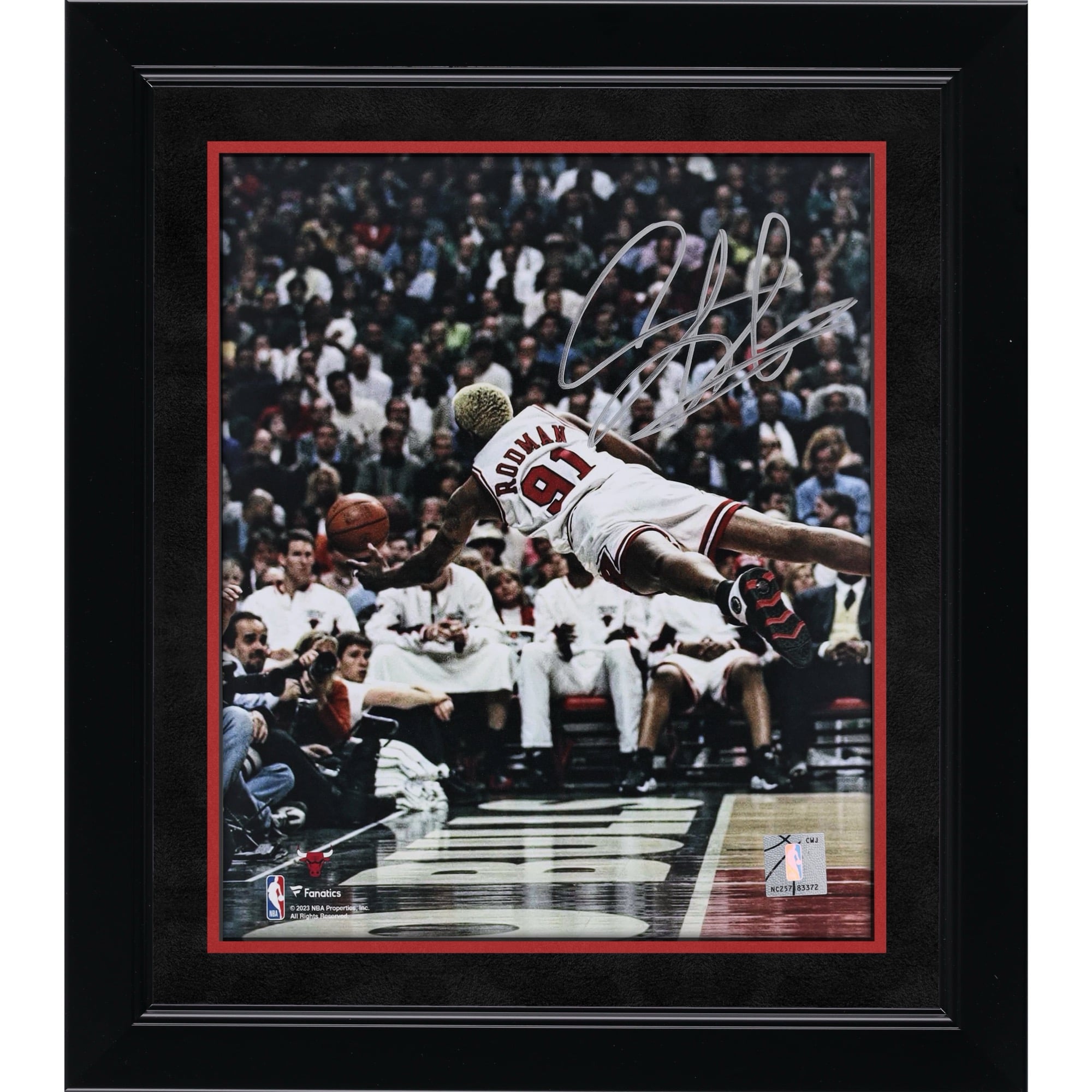 Photo de plongeon 20 x 25 cm (8 x 10 pouces) dédicacée par Dennis Rodman des Chicago Bulls - Signature argentée