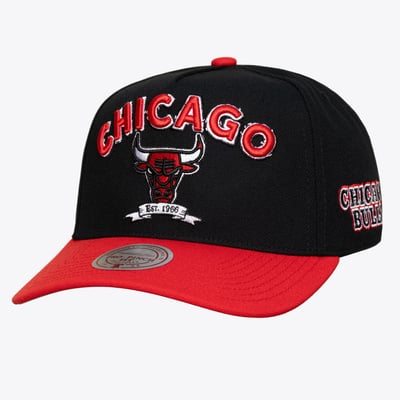 Chicago Bulls Mitchell & Ness True Legacy Pro Adjustable Hat - Black