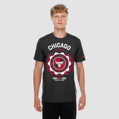  Chicago Bulls New Era Laurel Crest Flocking T-Shirt - Black