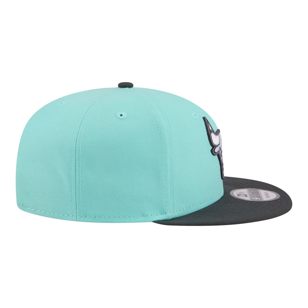 Chicago Bulls New Era Color Pack Two-Tone 9FIFTY Snapback Hat ...