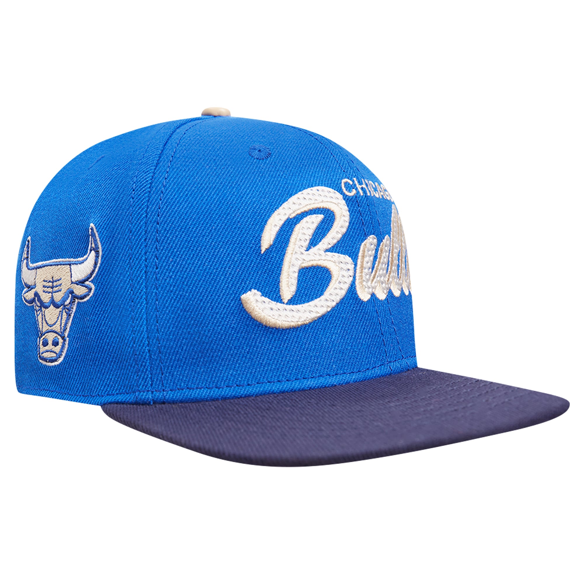 Men's Chicago Bulls Pro Standard Blue/Navy Legacy Snapback Hat