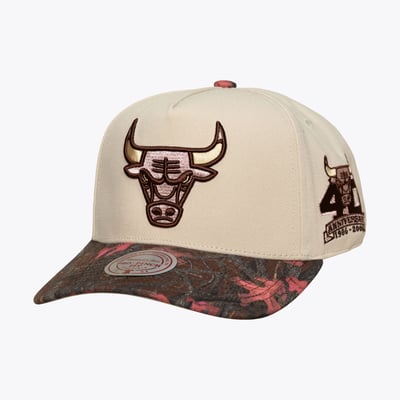  Chicago Bulls Mitchell & Ness Unisex Fall Pink Pro Snapback Hat - Cream