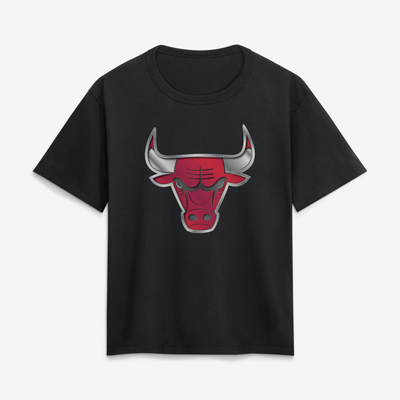 Chicago Bulls Women's Metallic Mascot T-Shirt - Black