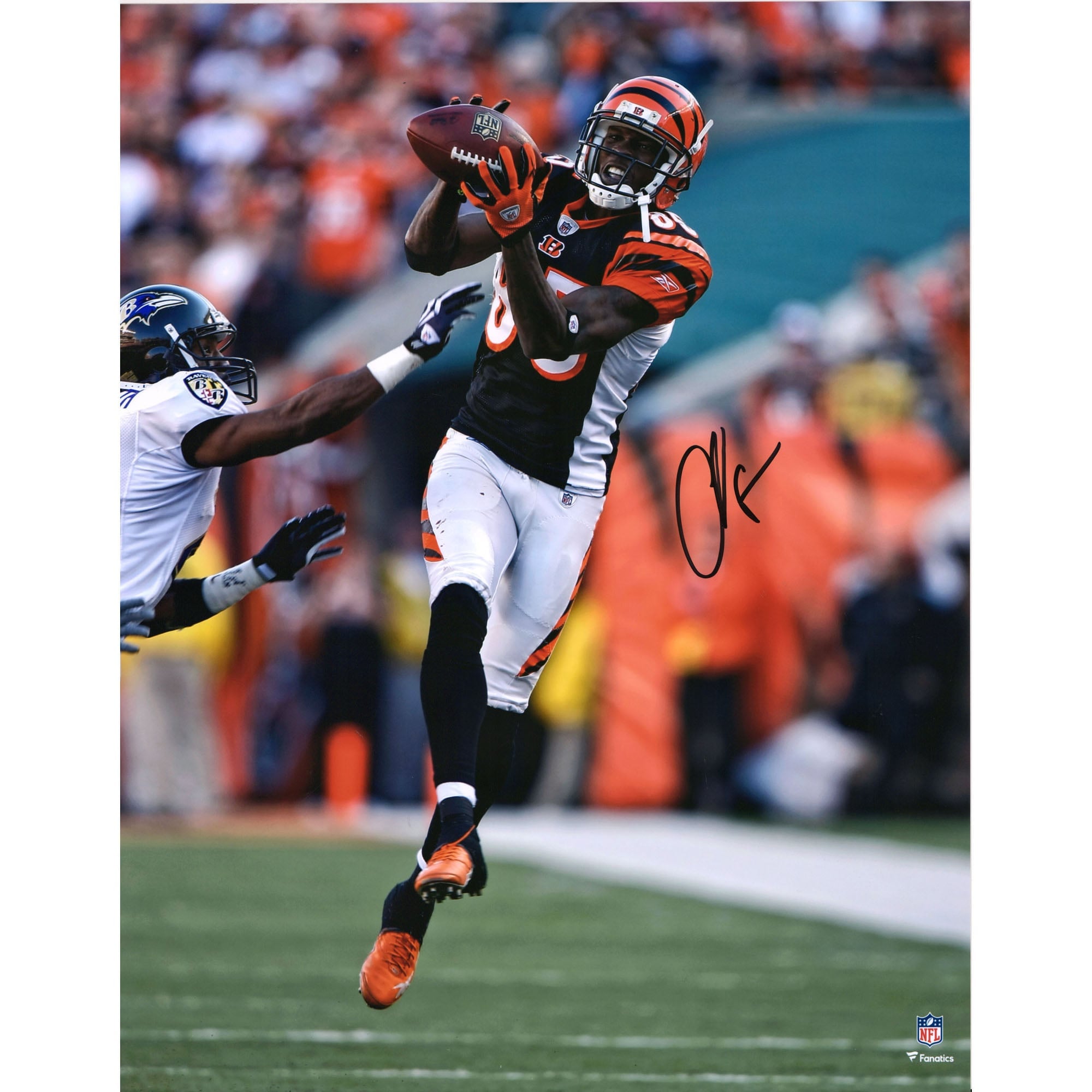 Photo dédicacée de Chad Johnson (Cincinnati Bengals) en maillot noir (40 x 50 cm) lors d'une réception