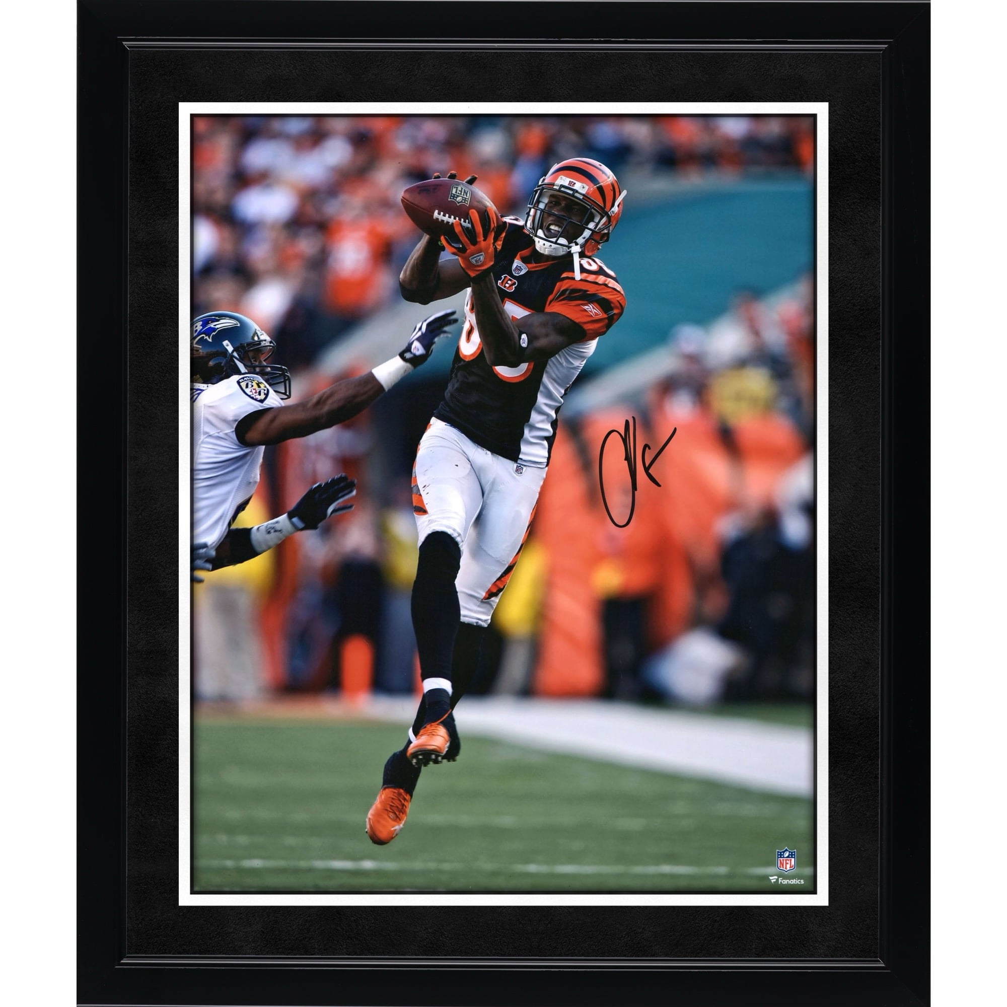 Photo dédicacée de Chad Johnson (Cincinnati Bengals) en maillot noir (40 x 50 cm) lors d'une réception
