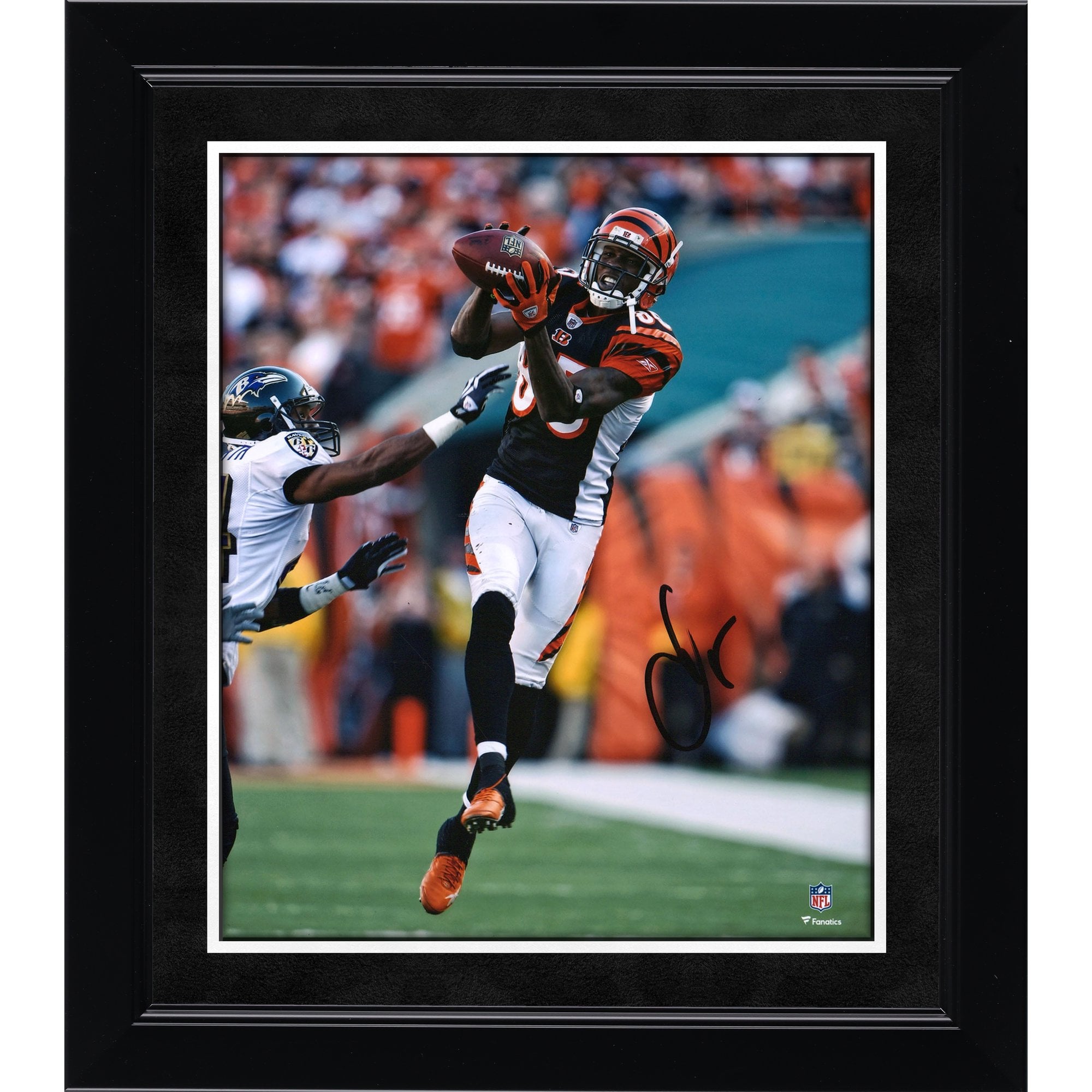 Photo dédicacée de Chad Johnson (Cincinnati Bengals) en maillot noir (8 x 10 pouces) lors d'une réception