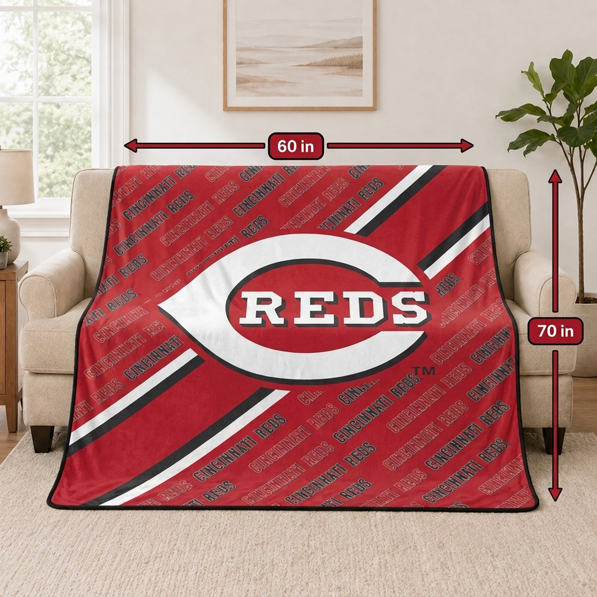 Pegasus Cincinnati Reds 60" x 70" Diagonal Lined Wordmark Ultra Soft Blanket