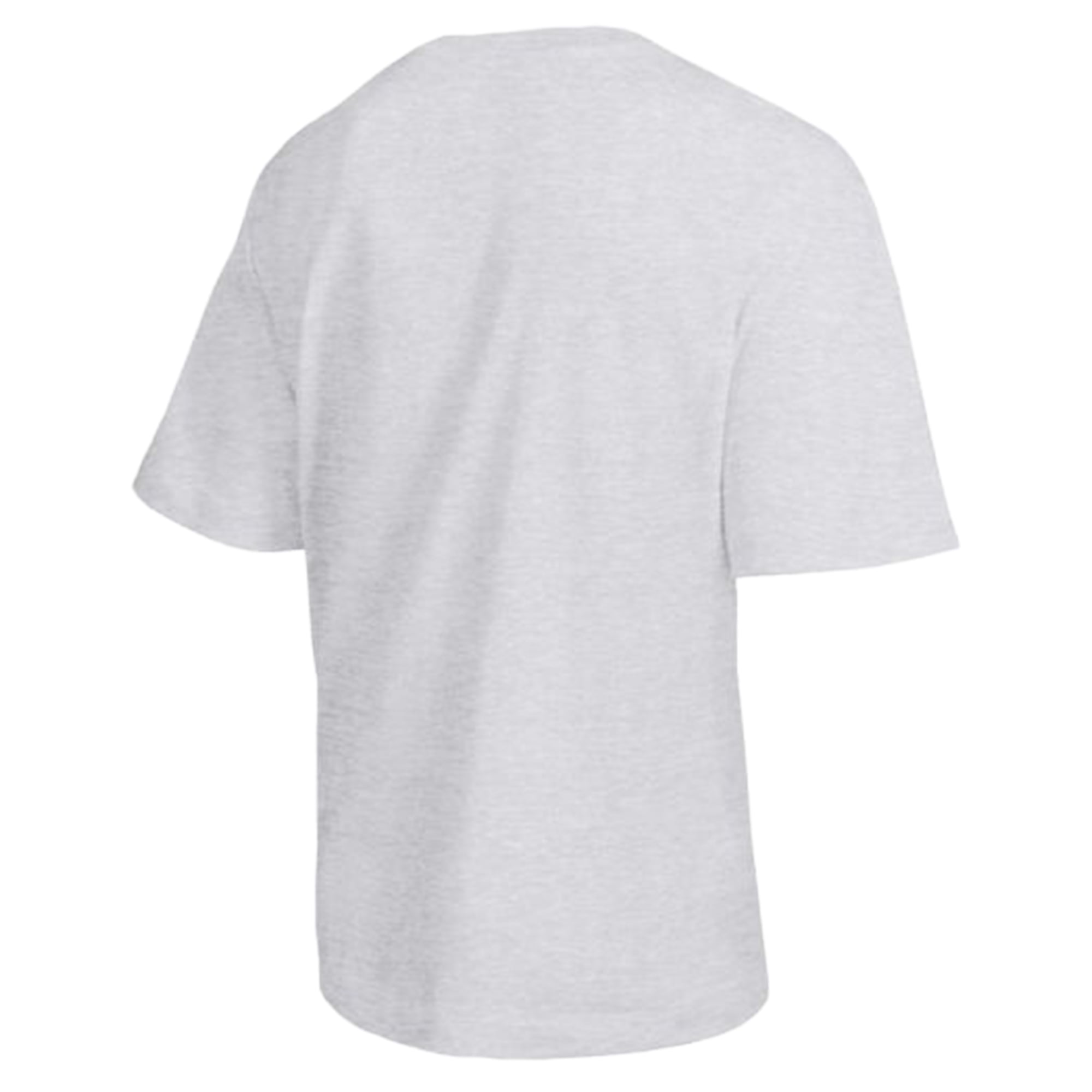 Men's Champion  Gray Clemson Tigers Established Tradition Heavyweight T-Shirt