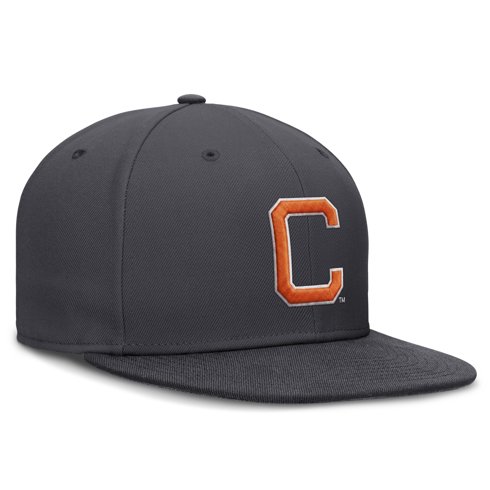Men's Nike Anthracite Clemson Tigers Pro Dri-FIT Fitted Hat