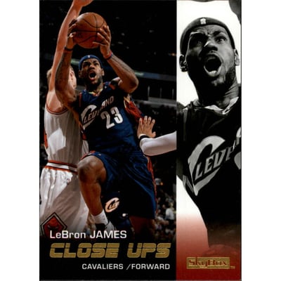 2008-09 SkyBox #177 LeBron James CU