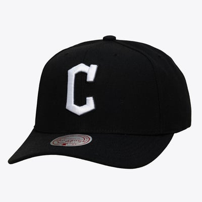 Cleveland Guardians Mitchell & Ness Black and White Pro Crown Snapback - Black
