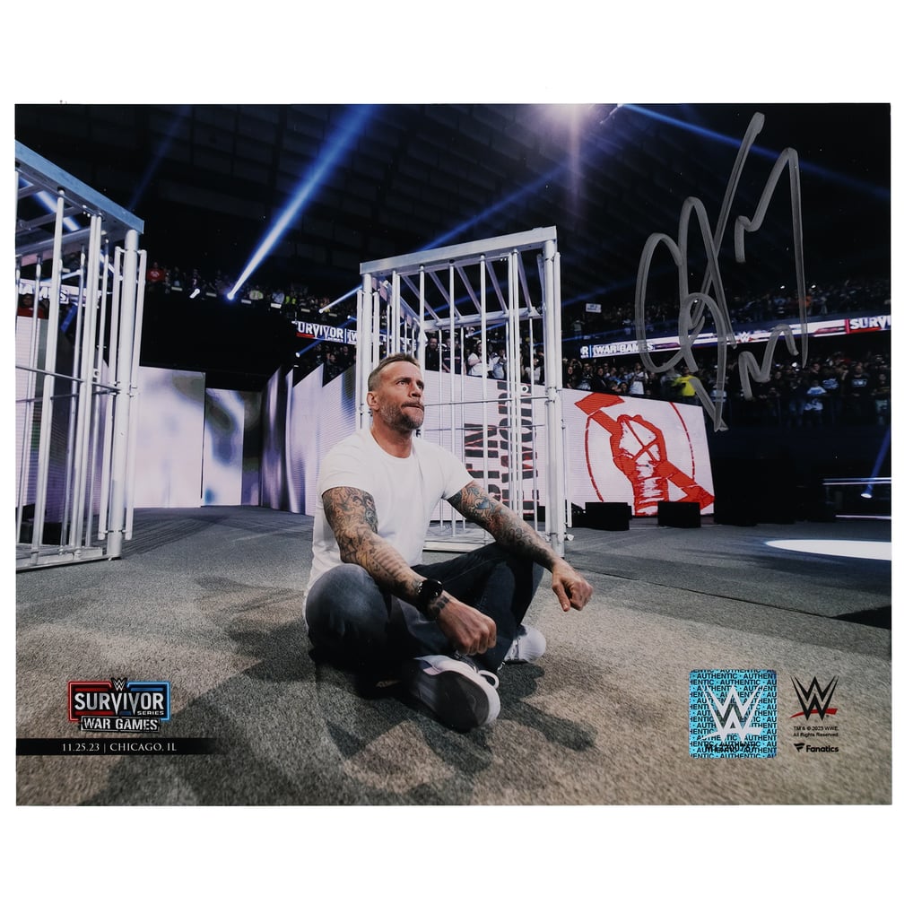 CM Punk Cards and Autographed Memorabilia Guide WWE CM Punk パンク 