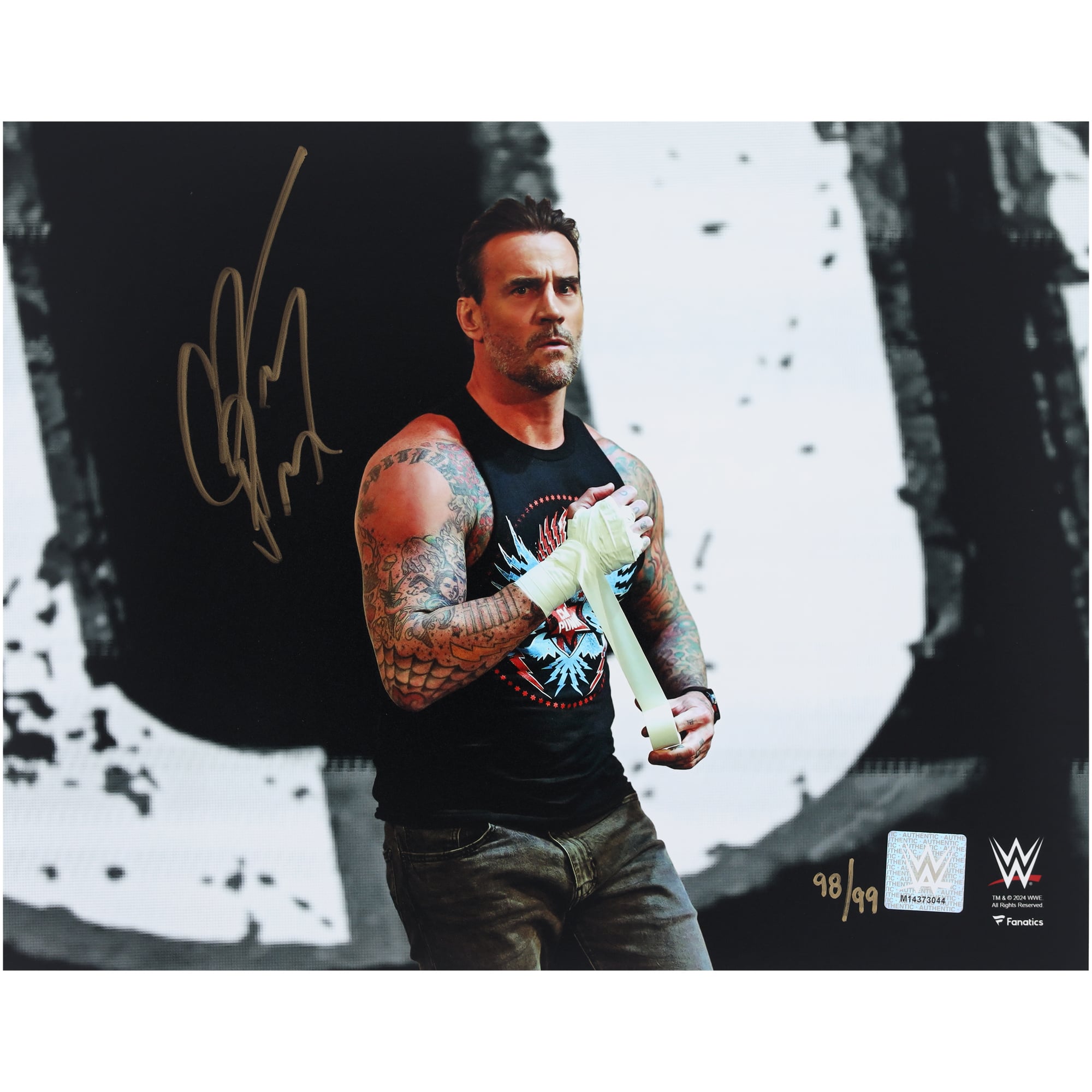 CM Punk WWE Autographed 11