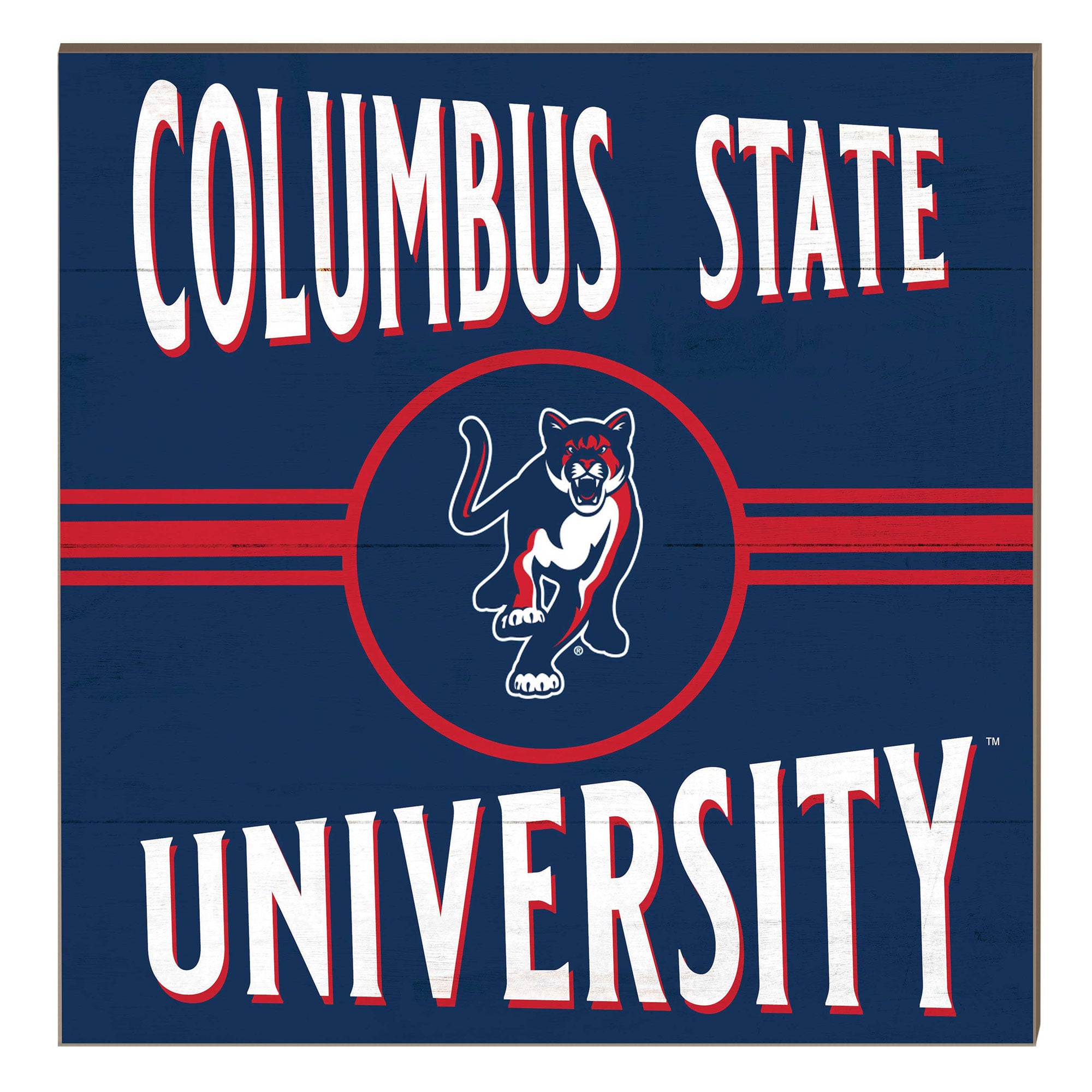 Columbus State Cougars 10