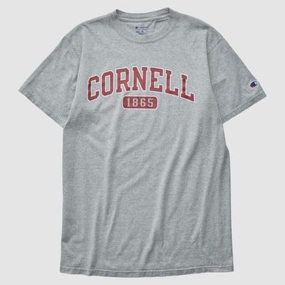 Cornell Big Red Champion 2010s T-shirt - Heather Gray - M by Fanatics Real Vintage