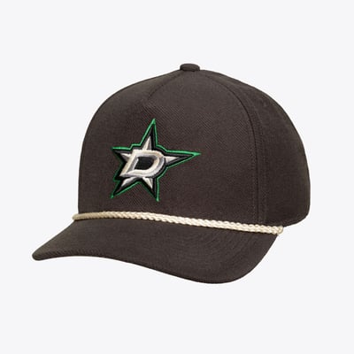 Casquette snapback Mitchell & Ness Heritage Hues Pro Crown des Dallas Stars - Gris anthracite