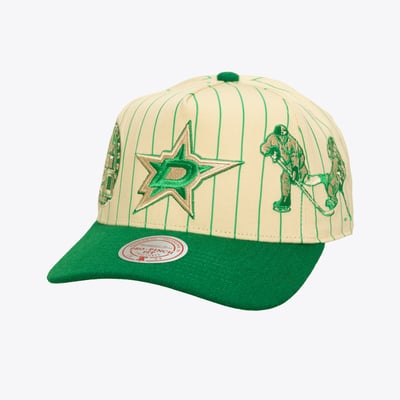  Dallas Stars Mitchell & Ness Retro Roots Vintage Stripe Pro Adjustable Hat - Cream