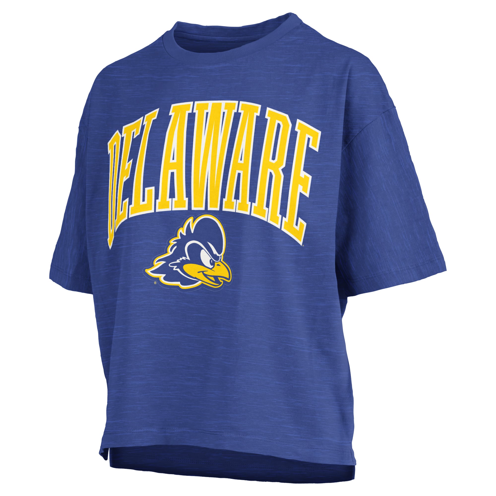 Women's Pressbox Royal Delaware Fightin' Blue Hens Oversized Nelson Arch Over Logo Slub T-Shirt