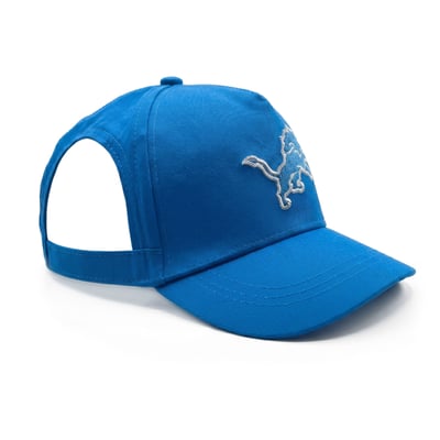 Detroit Lions Adjustable Pet Hat