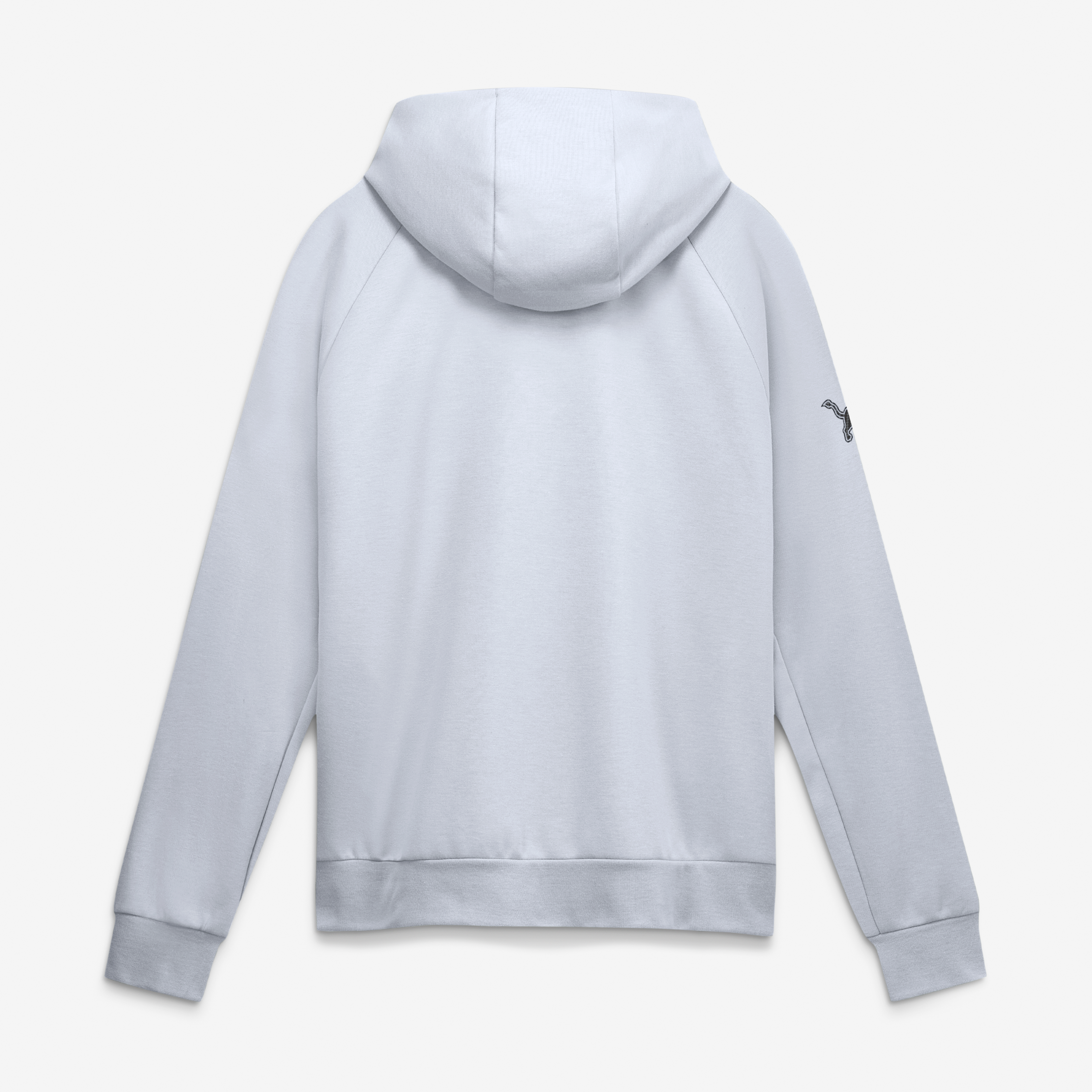 Sweat à capuche Nike Dri-FIT argenté Detroit Lions Collection 2026 pour homme