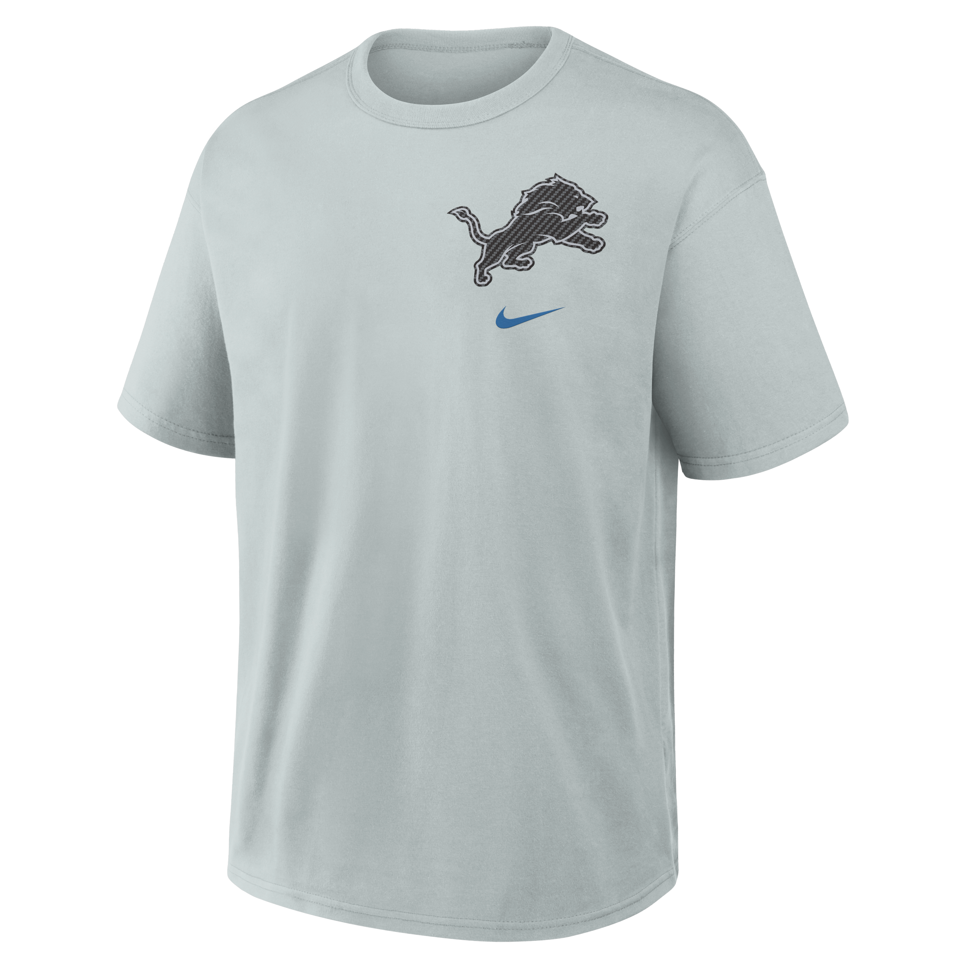 Men's Nike  Silver Detroit Lions 2026 Rivalries Collection Max90 T-Shirt