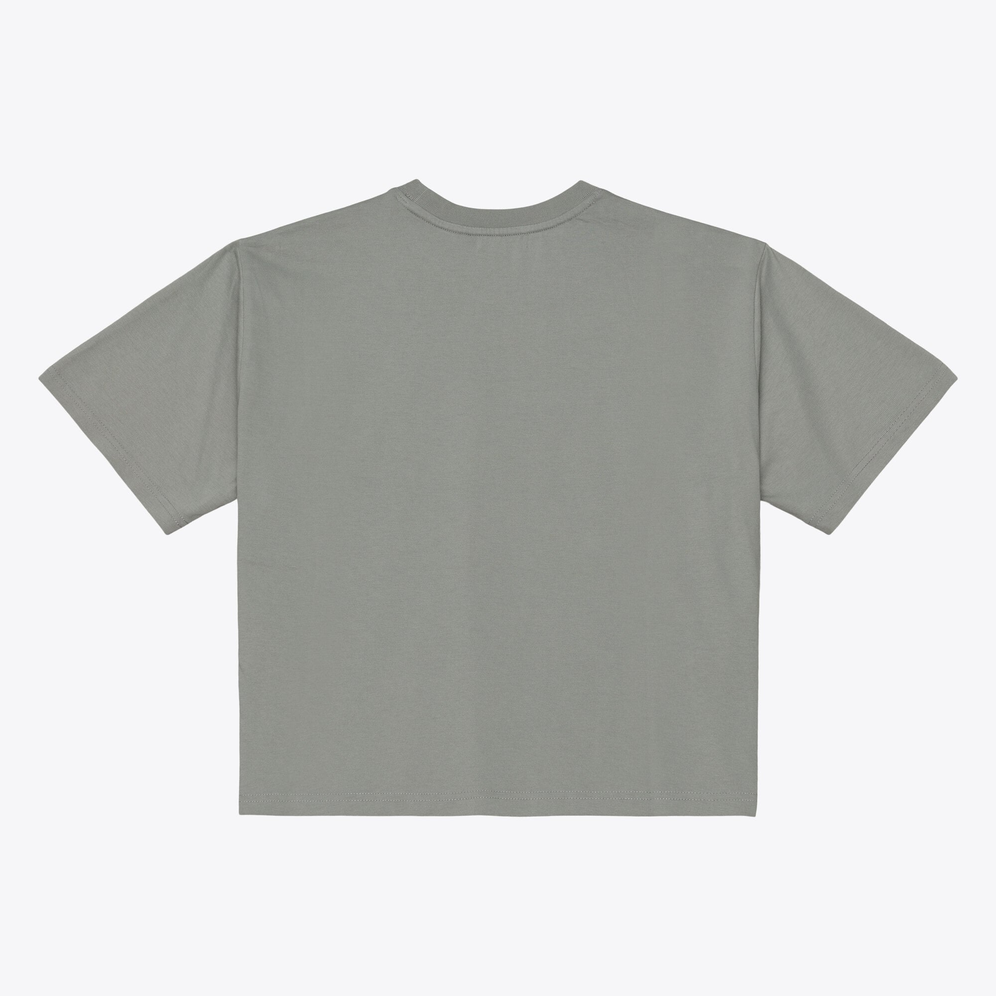 Women's Mitchell & Ness Gray Detroit Lions Street Graphic Boxy Cropped T-Shirt