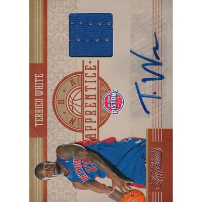 2010-11 Timeless Treasures NBA Apprentice Materials Signatures #32 Terrico White