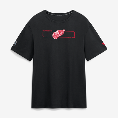 Men's Detroit Red Wings Fanatics Black Authentic Pro Primary Logo T-Shirt