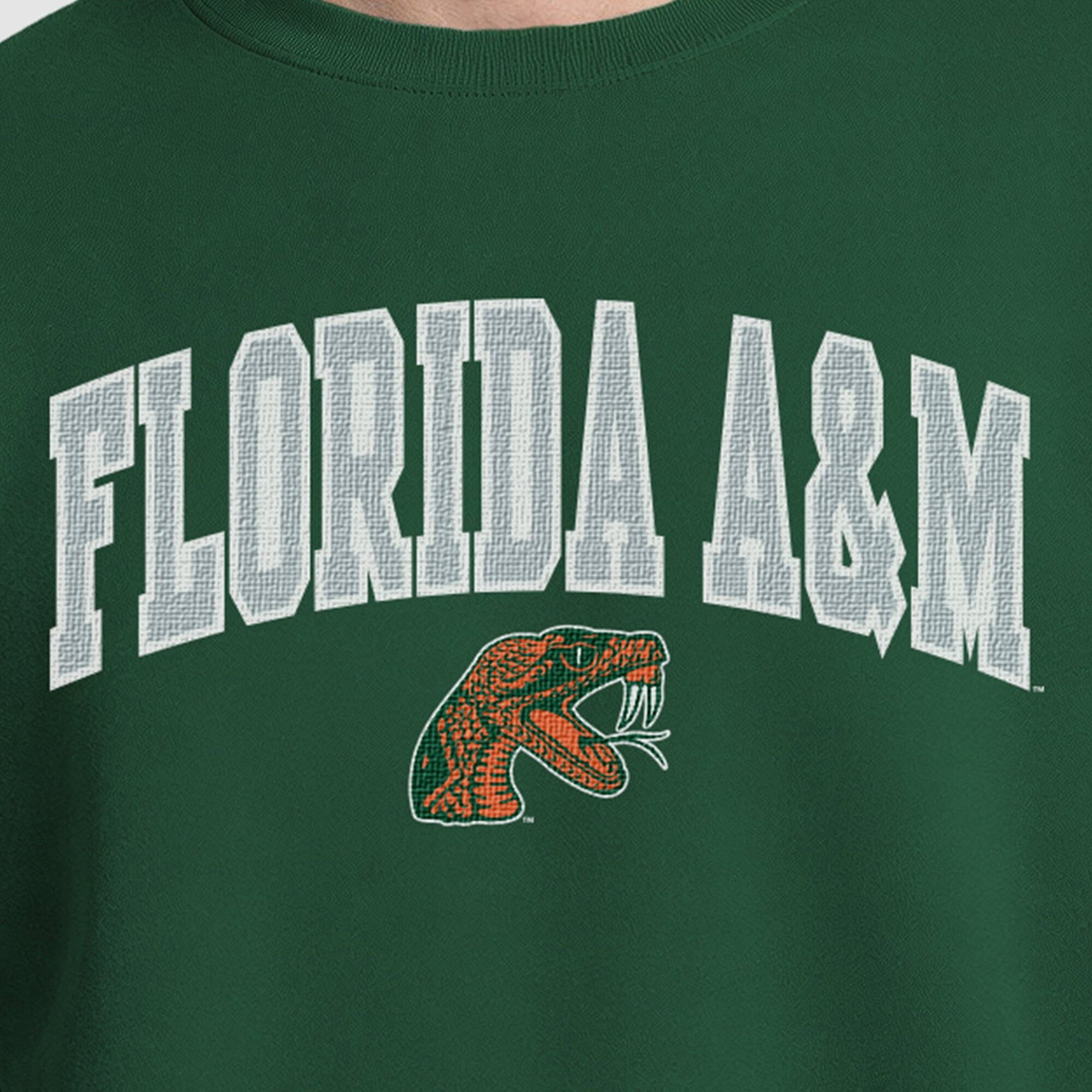 Men's Champion Green Florida A&M Rattlers Contrast Sweatshirt