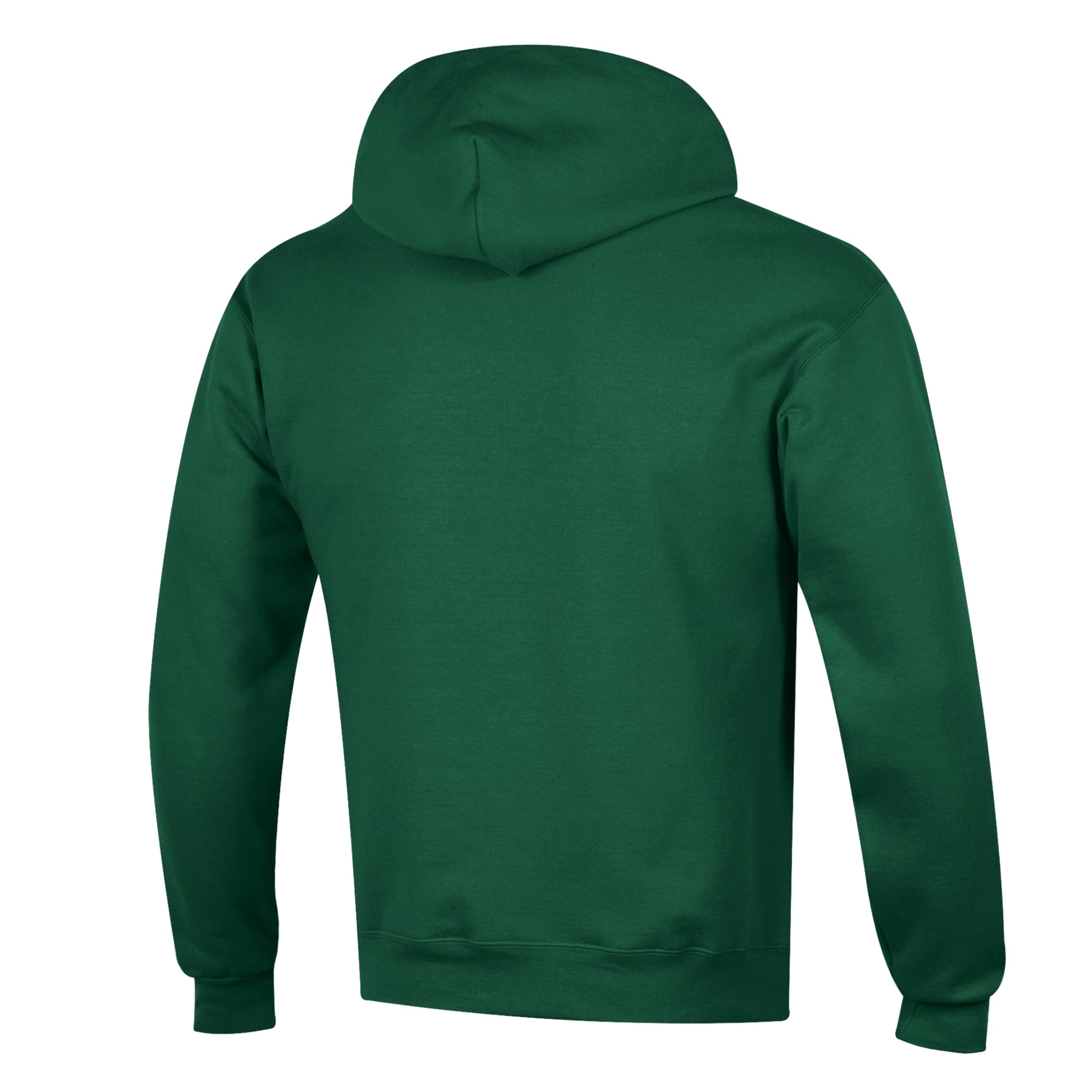 Sweat à capuche Champion vert pour homme, modèle Powerblend, Florida A&M Rattlers