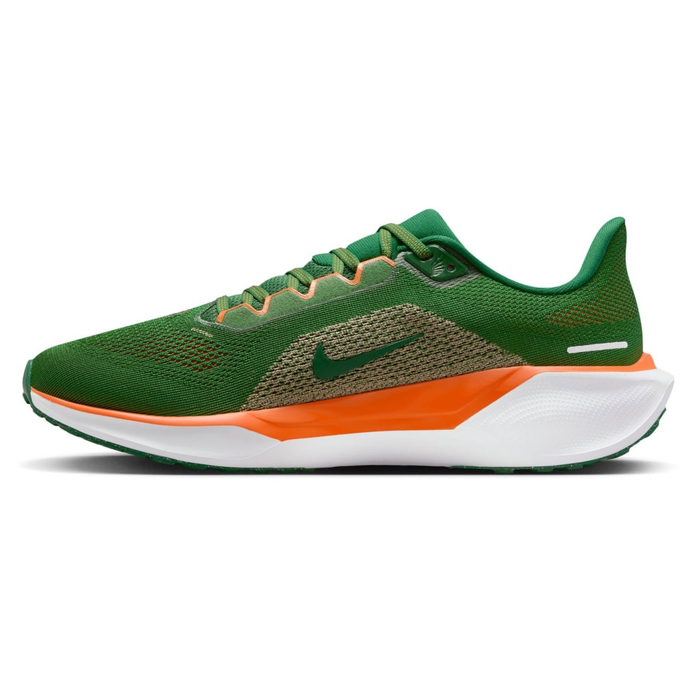 New Nike Air Zoom Pegasus 41 \'Florida A&M University\' Green Size 9 FZ5112-300 NIKE AIR ZOOM PEGASUS 41 “FAMU” [FZ5112-300] FLORIDA A&M  main image 4