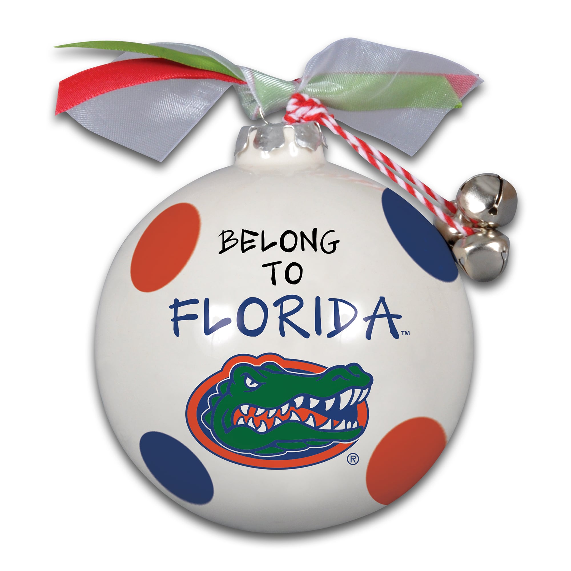 Ornement Maison et Cœurs des Florida Gators