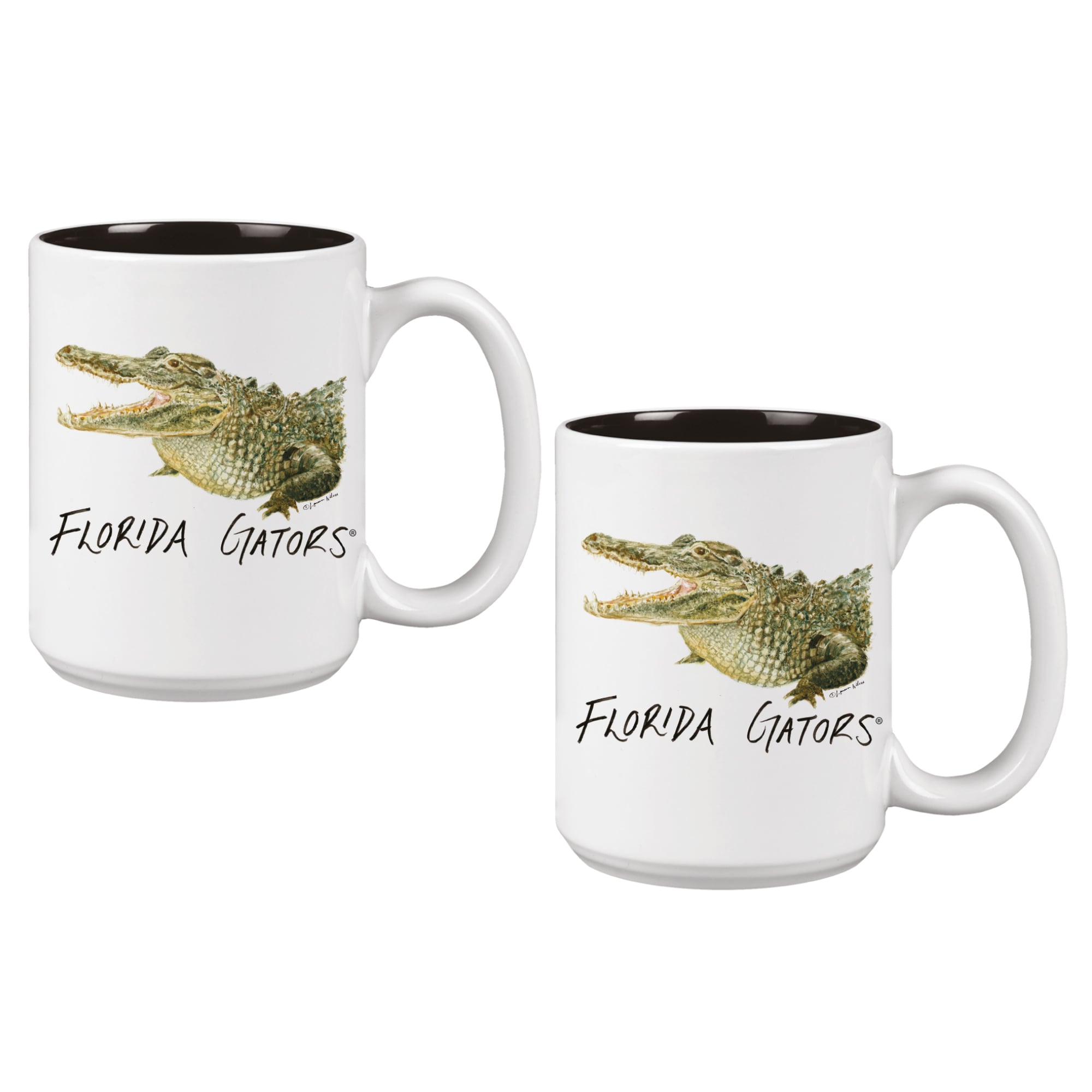 Ensemble de deux tasses Florida Gators de 44 cl (15 oz) à l'effigie de la mascotte Laura Wilcox