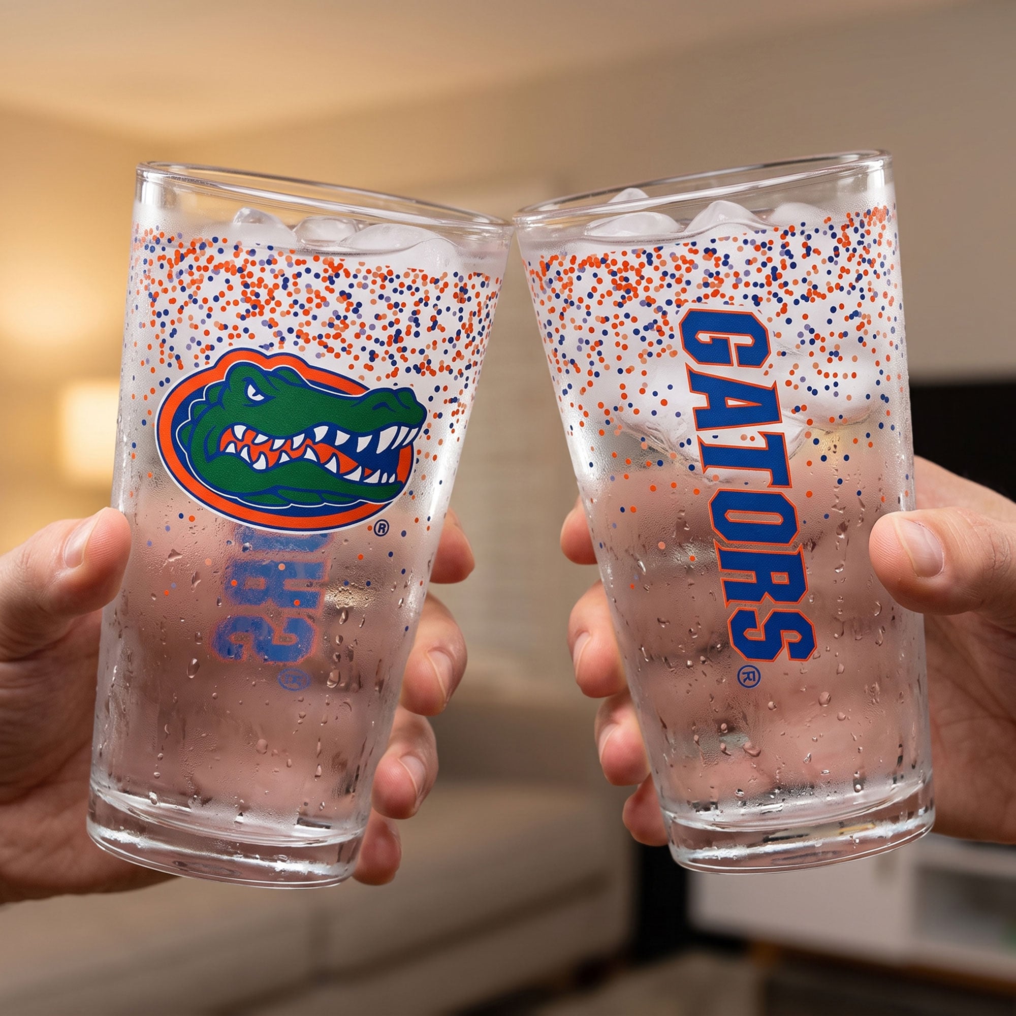 Indigo Falls Florida Gators Confetti Pints - Set of 2