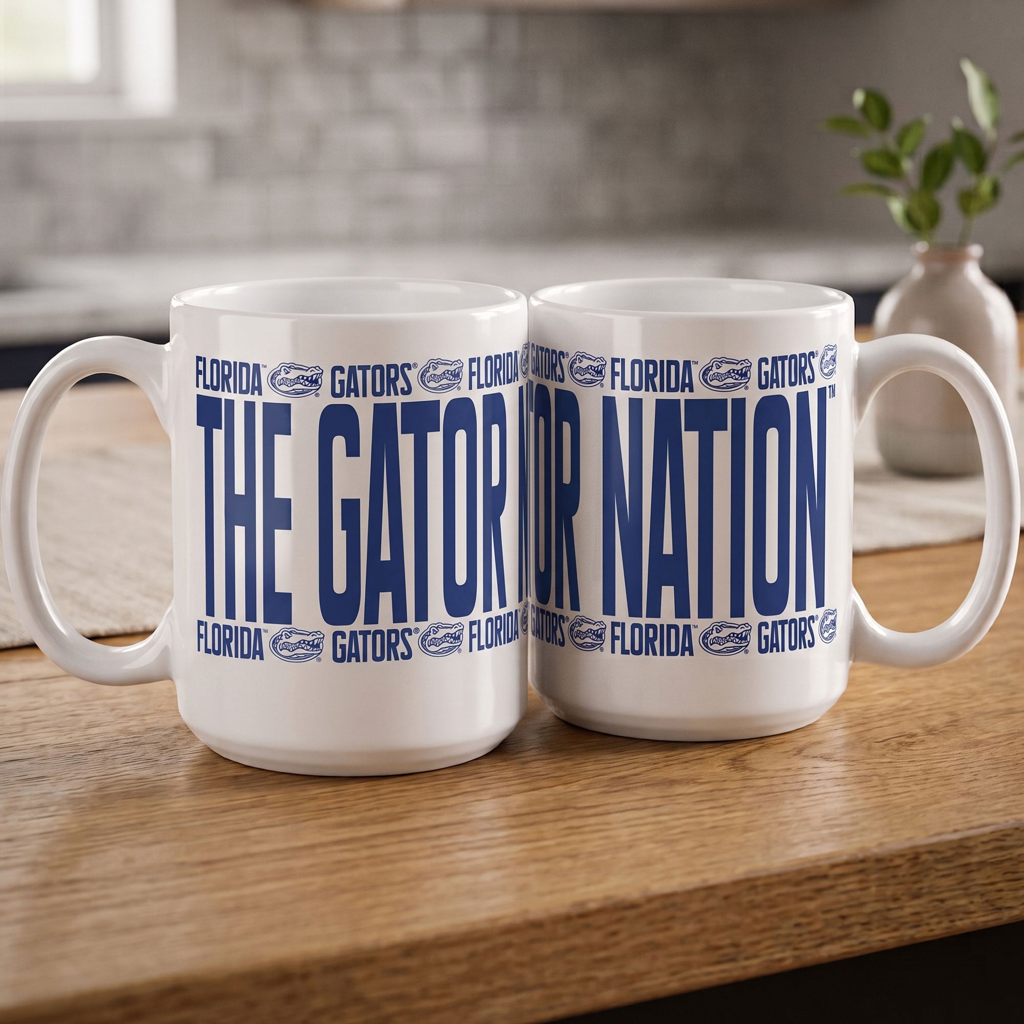 Indigo Falls Florida Gators Elevated Mug - Set of 2