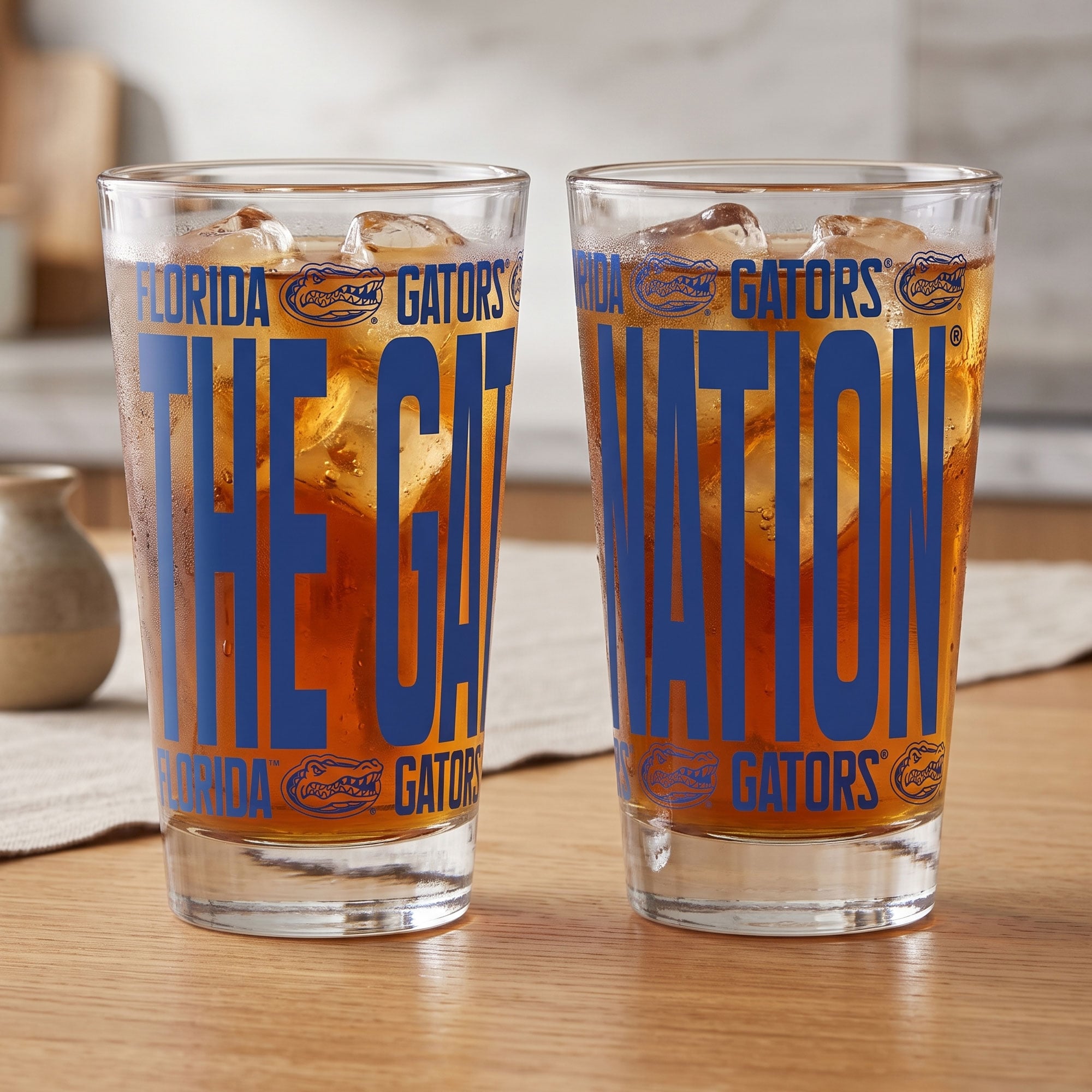 Indigo Falls Florida Gators Elevated Pint Glass Set of 2