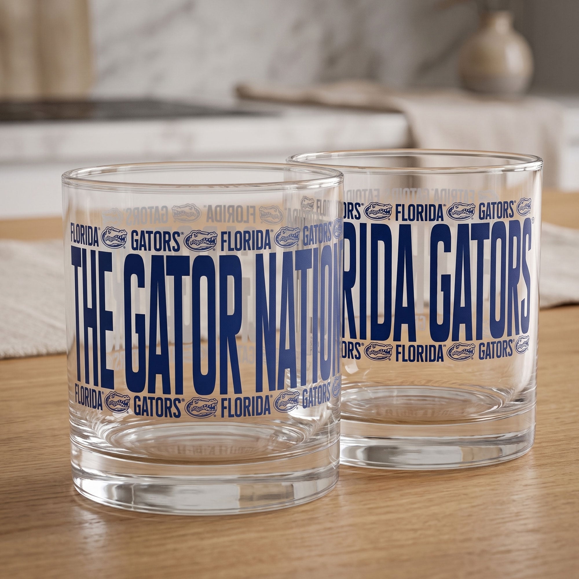 Indigo Falls Florida Gators Elevated Rocks Glass - Set of 2