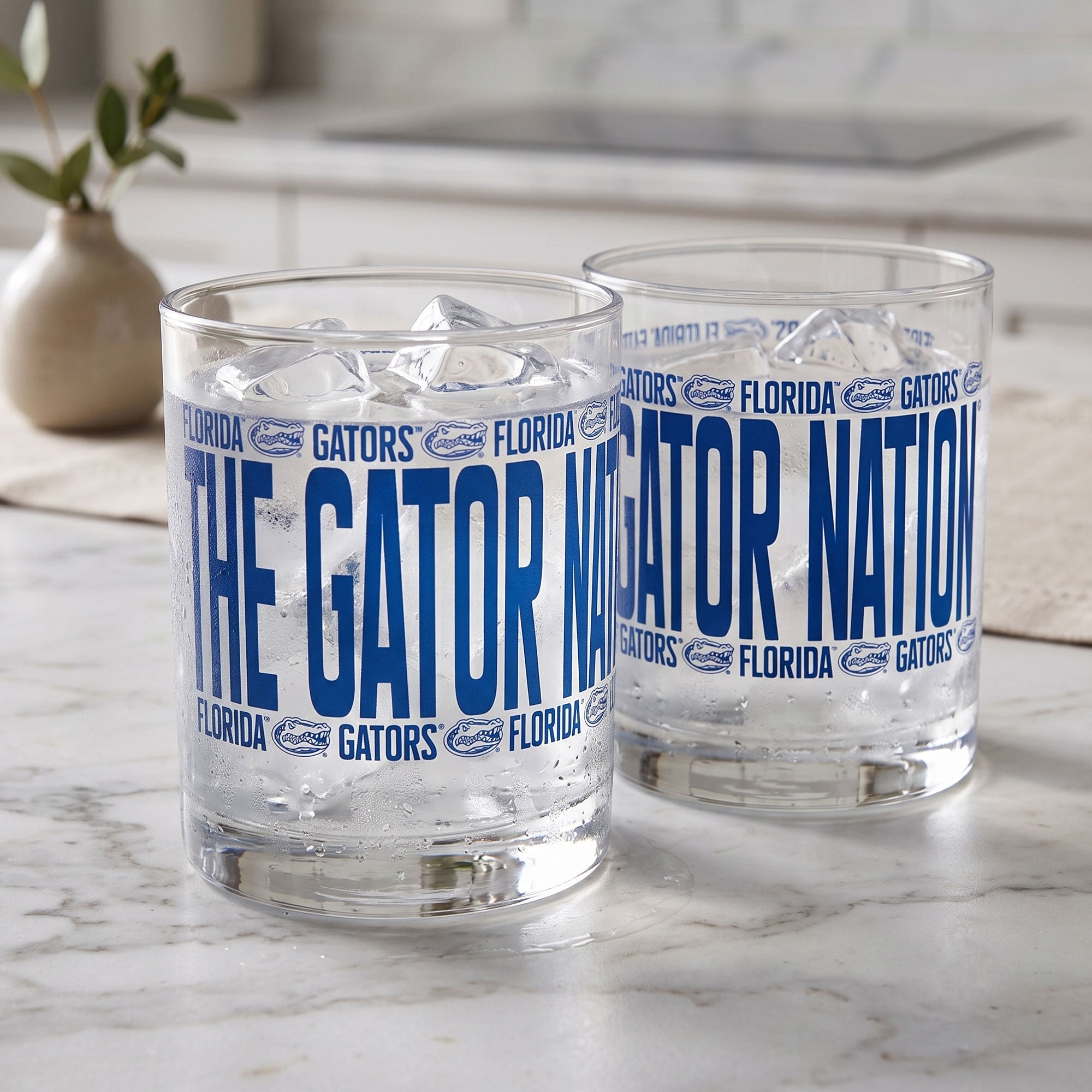 Indigo Falls Florida Gators Elevated Rocks Glass - Set of 2