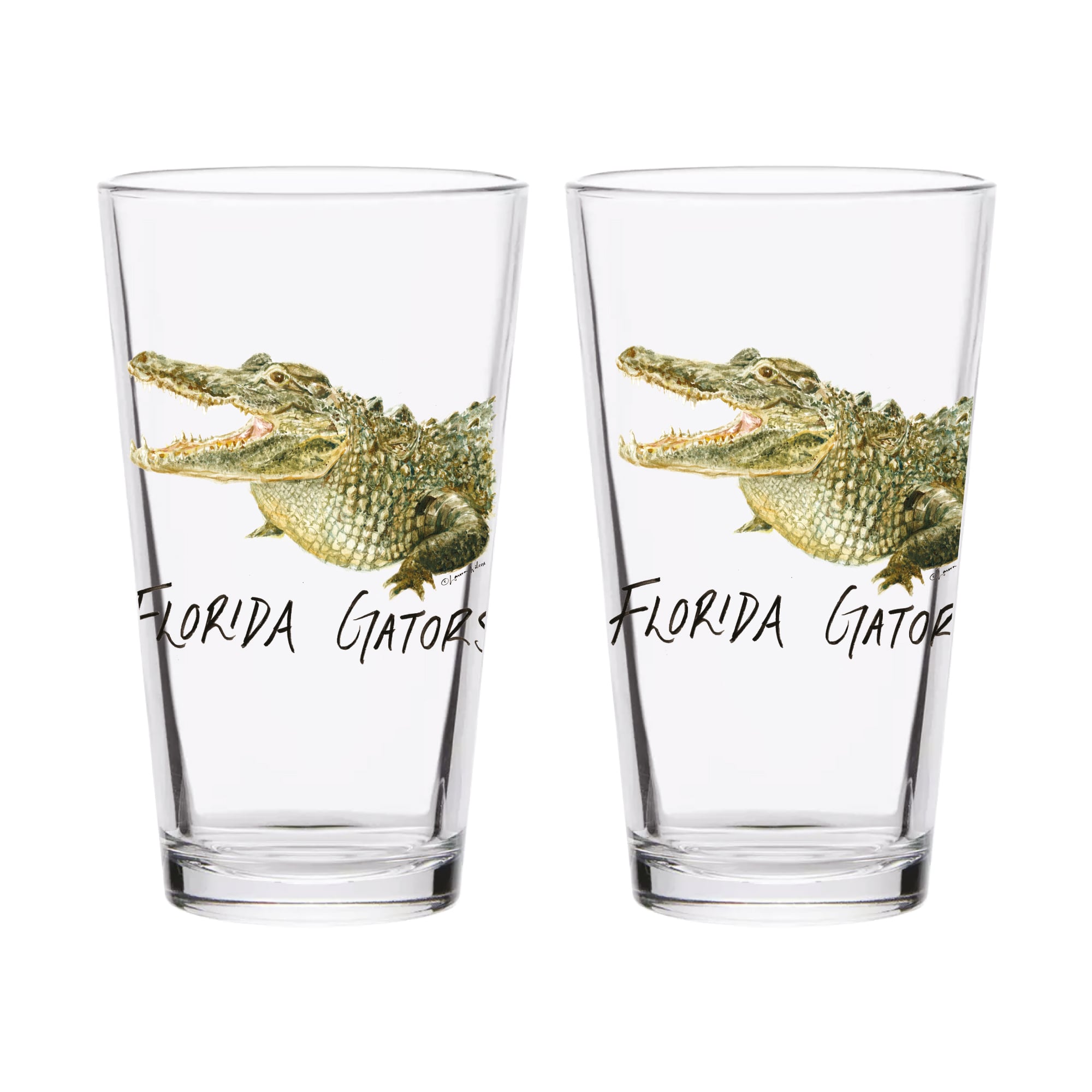 Ensemble de 2 verres à bière à l'effigie de Laura Wilcox, mascotte des Florida Gators d'Indigo Falls
