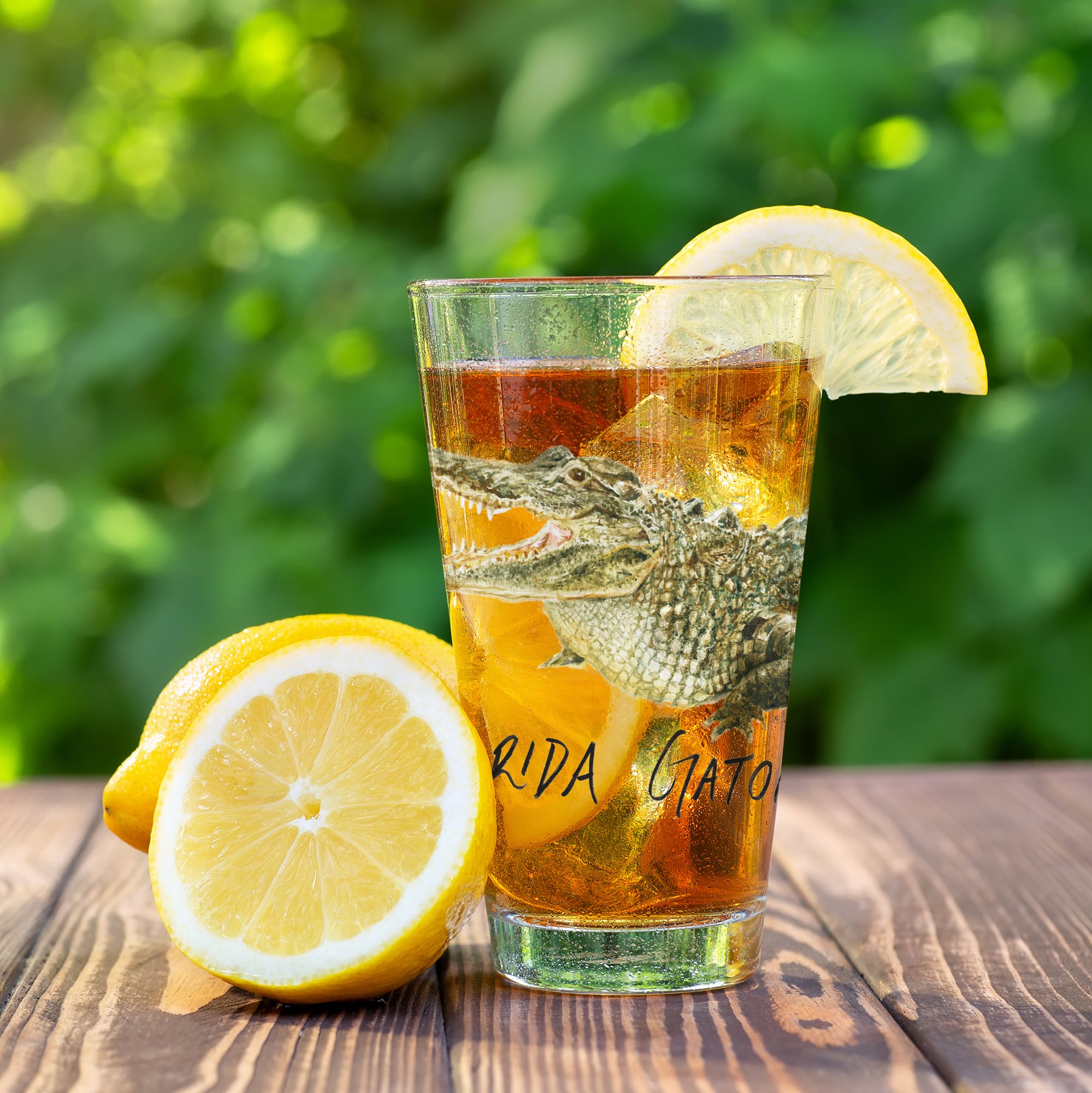 Ensemble de 2 verres à bière à l'effigie de Laura Wilcox, mascotte des Florida Gators d'Indigo Falls