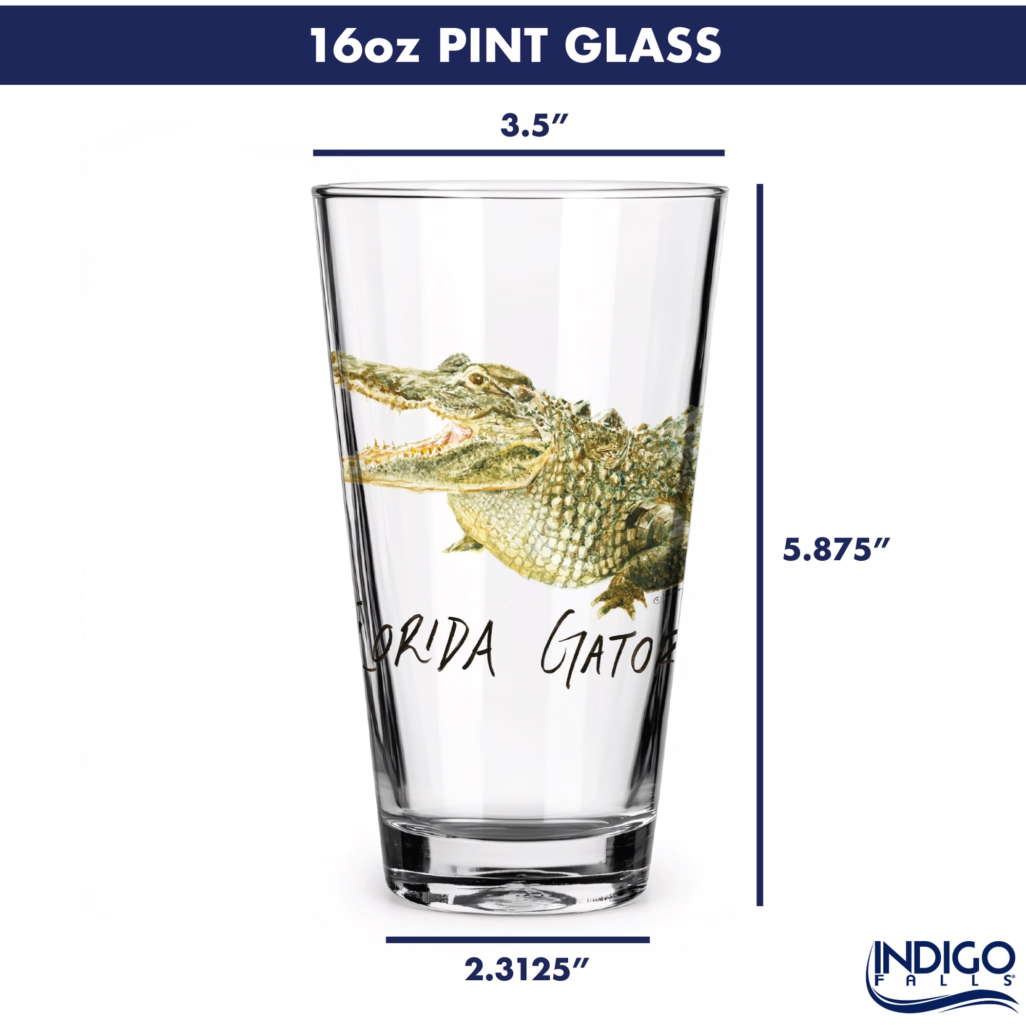 Ensemble de 2 verres à bière à l'effigie de Laura Wilcox, mascotte des Florida Gators d'Indigo Falls