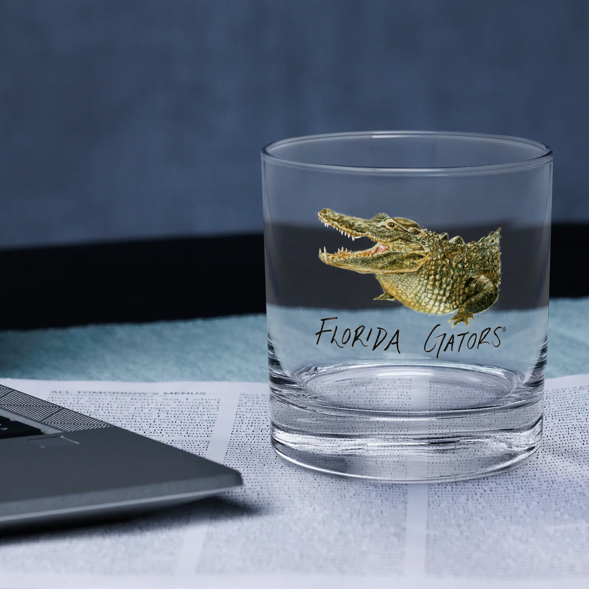 Indigo Falls  Florida Gators Laura Wilcox Mascot Rocks Glass Set of 2