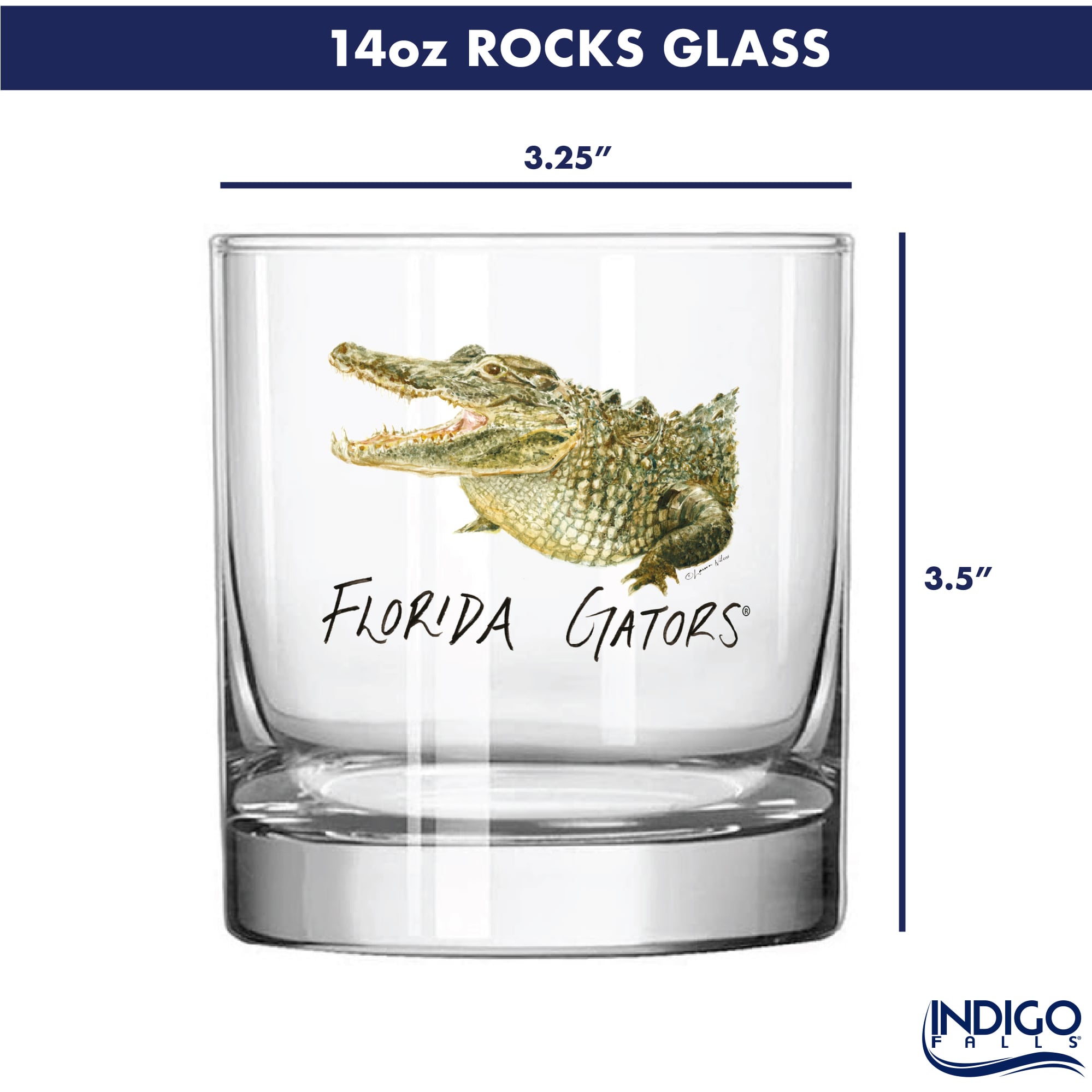 Indigo Falls  Florida Gators Laura Wilcox Mascot Rocks Glass Set of 2