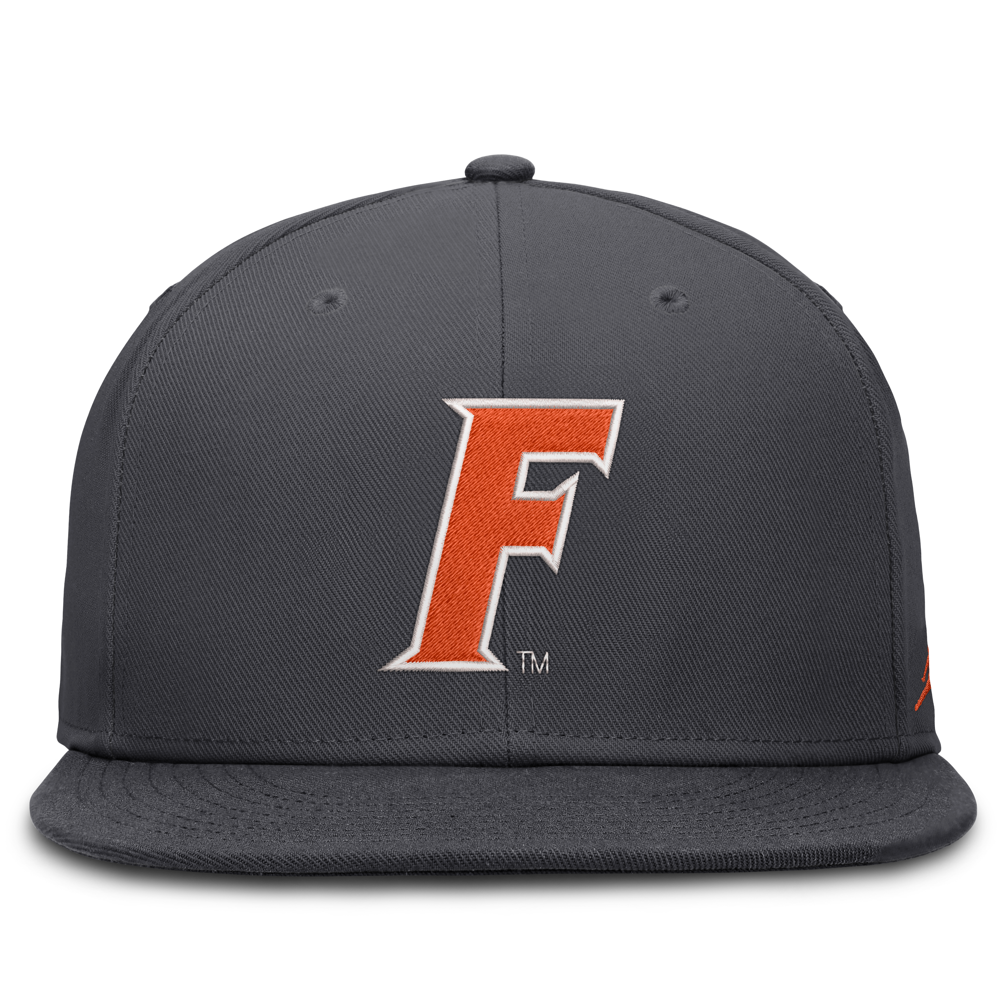 Men's Jordan Brand Anthracite Florida Gators Pro Dri-FIT Fitted Hat